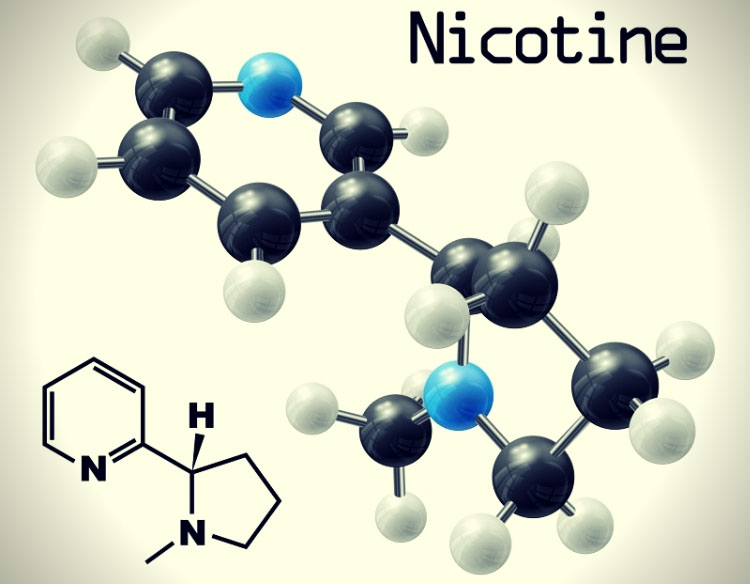 尼古丁對睪酮素的抑制與影響